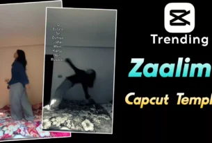 Zaalima Capcut Template